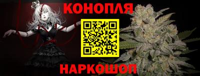 гидра Кандалакша