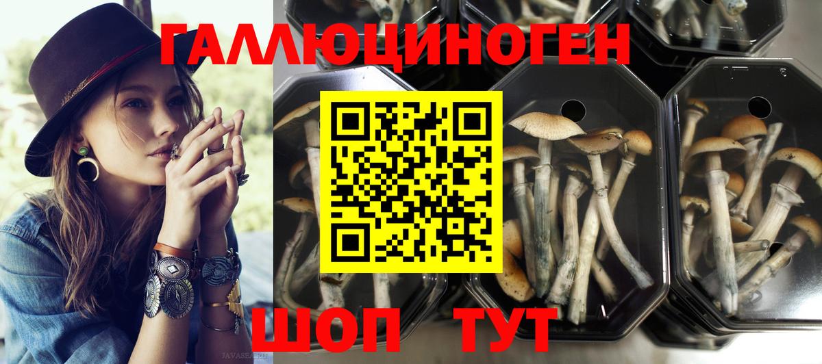 МДМА  ГАШ  ТГК  Кумертау  МЕТ  Экстази  Меф МЯУ МЯУ   Вход с VPN  Мефедрон 